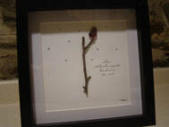 Photo of framed stick and pebble collage, depicting bird on a branch, When Cardinals Appear Loved Ones are Near